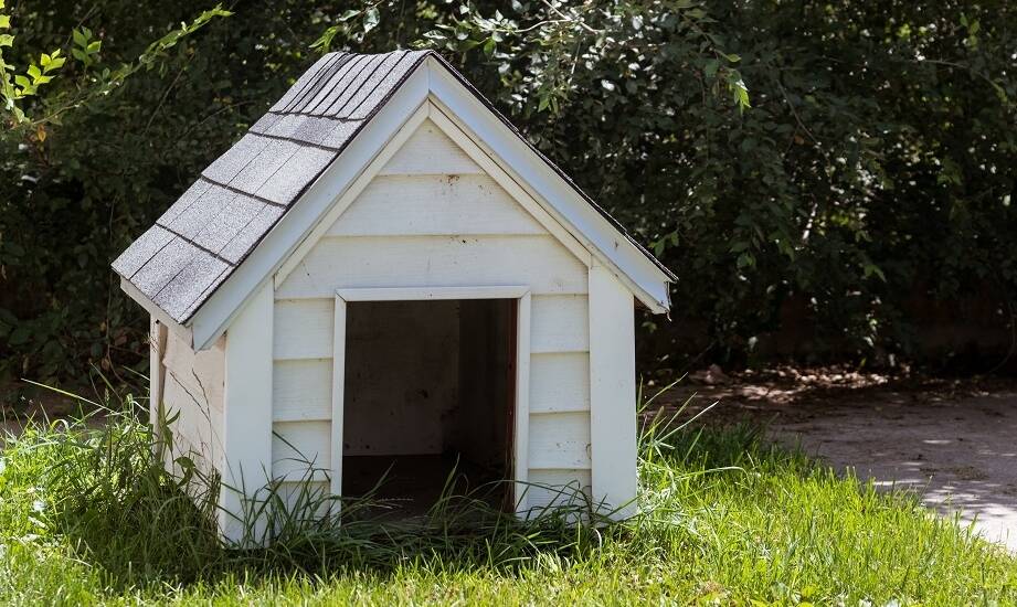 Jak drewniane budy dla psów wpisują się w naturalny krajobraz w ogrodzie?