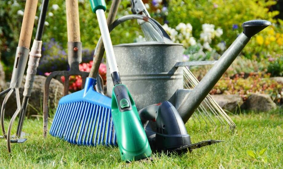 Ochrona ogrodu przed kretami – przegląd dostępnych środków i metod