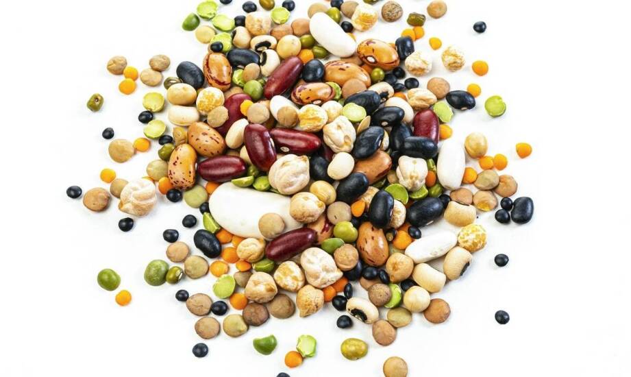 Jaką karmę dla gołębi podawać zimą ptakom?