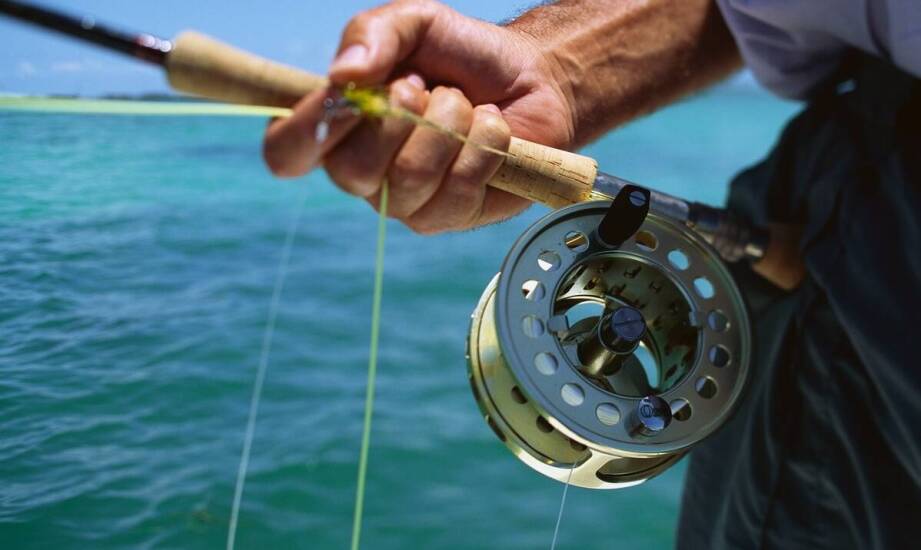 Jakie cechy wyróżniają dobrą morską wędkę?