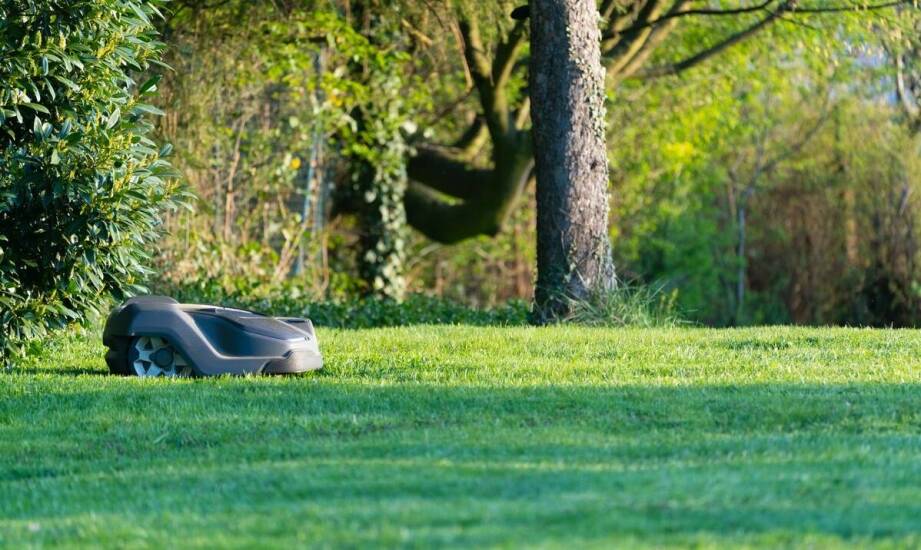 Akumulatorowe podkaszarki w ekologicznych projektach ogrodniczych