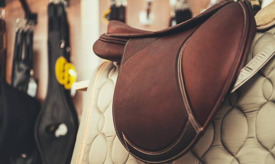 Jak wybrać odpowiedni kantar dla konia? Wskazówki