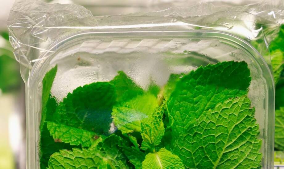 Rola ekologicznego kartonu w transformacji rynku opakowań plastikowych