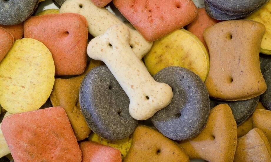 Zestaw karmy dla psa – jak dostosować go do alergicznych potrzeb zwierzęcia?