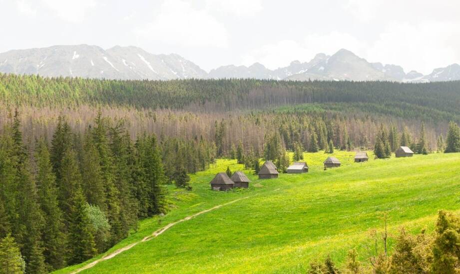 Historia i przyroda – co zobaczyć na trasie w Osówce?