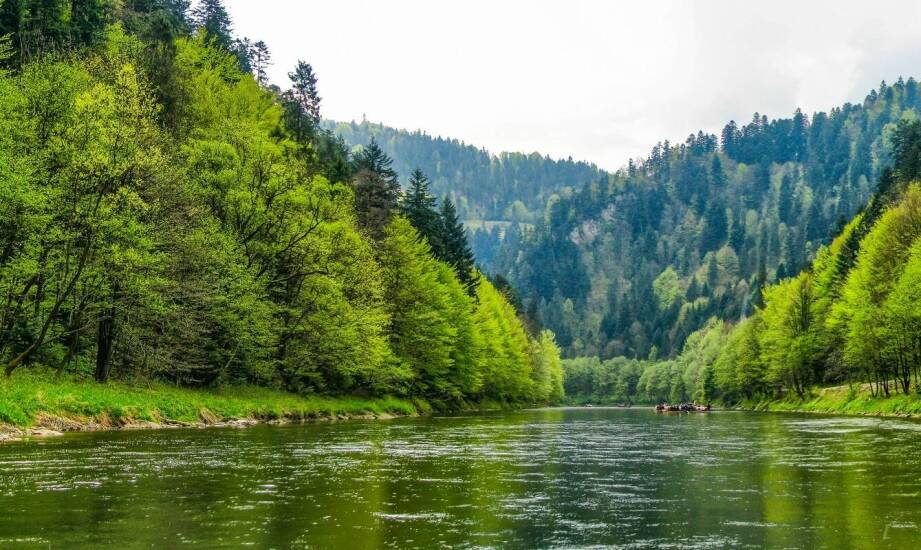 Poradnik dla średniozaawansowanych: jak wybrać trasę do spływu kajakowego za granicą?