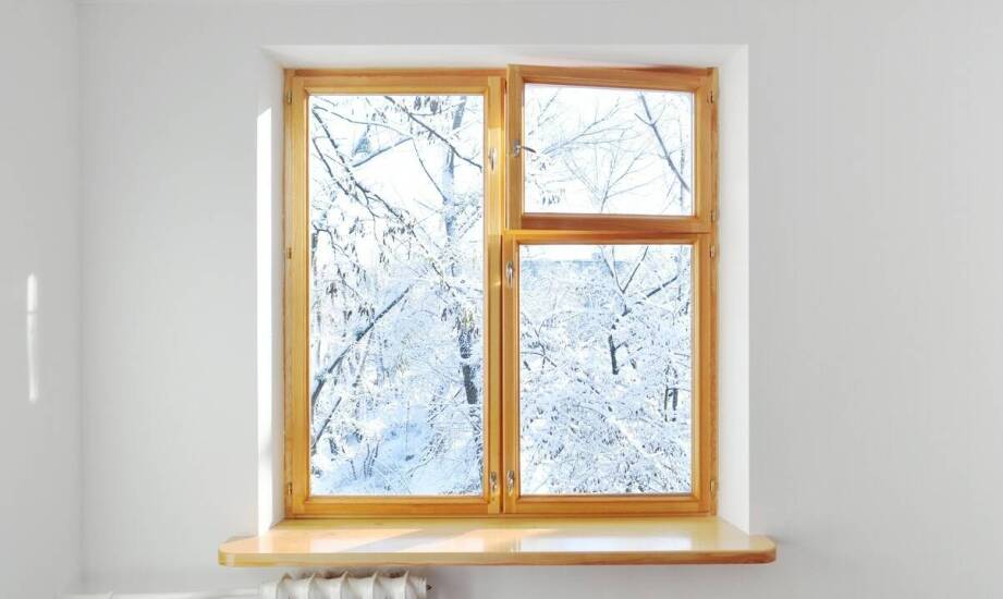 Jaką karmę podawać dzikim ptakom w zimie? Wskazówki