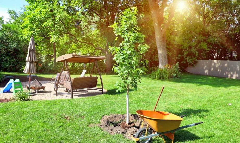 Jakie są najważniejsze kryteria przy wyborze taczki do nawozu?