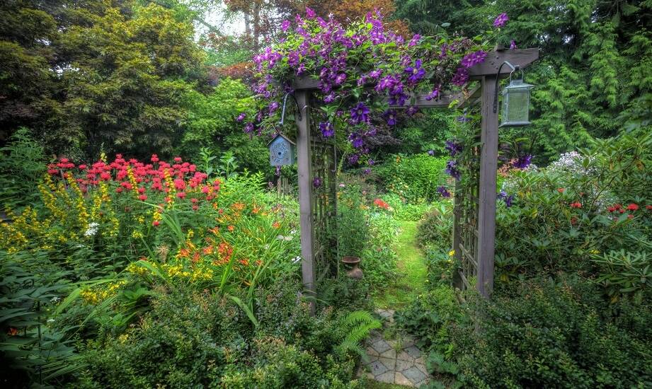 Wpływ ogrodowych trejaży na organizację przestrzeni w ogrodzie
