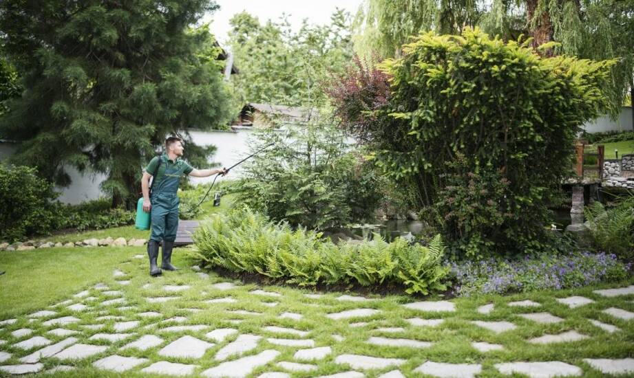 Jak ogrodnik w Modlnicy może pomóc w ochronie roślin przed szkodnikami?