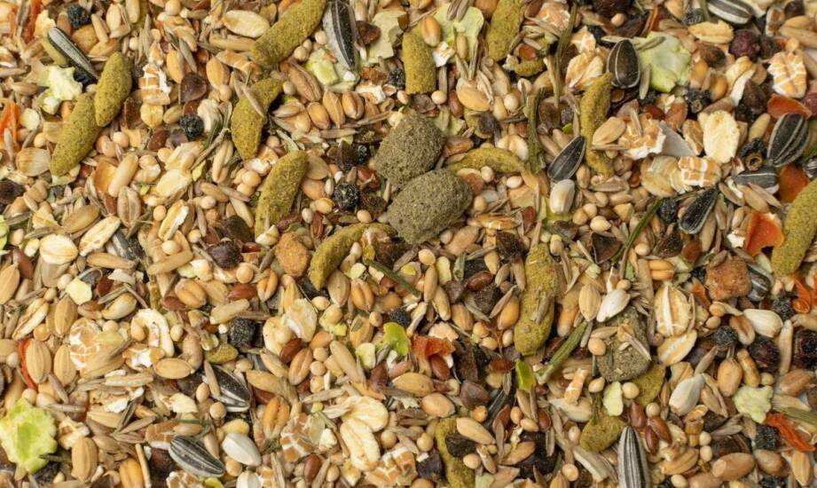 Dlaczego jakość zbóż jest kluczowa przy produkcji mieszanek paszowych?
