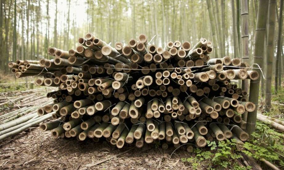 Jakie są różnice między słupkami do pastucha o długości 150 cm a innymi rodzajami palików ogrodzeniowych?