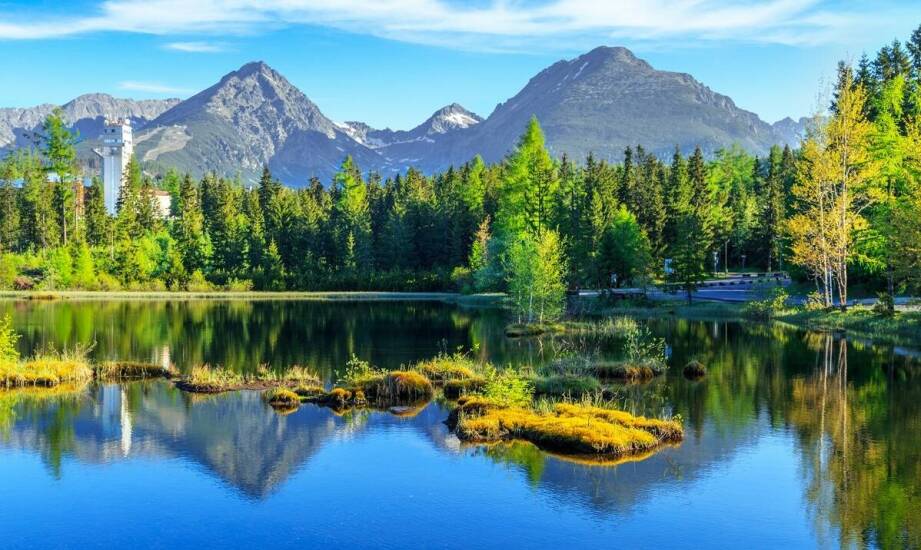 Zs Krynice – co czyni je wyjątkowym miejscem na wakacyjny odpoczynek?