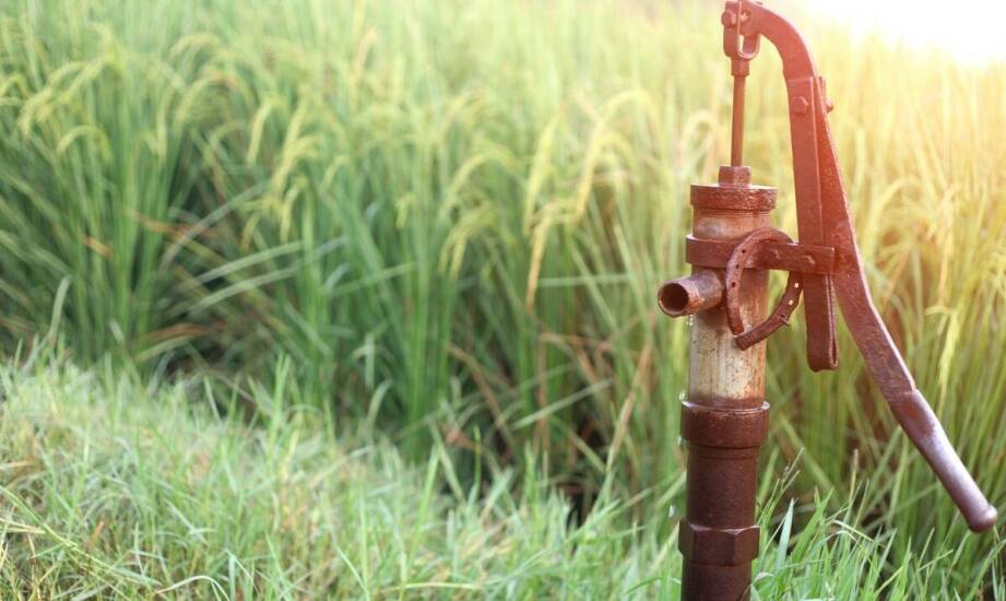 Jak właściwie konserwować pastwiskowe poidło dla koni, by służyło dłużej?