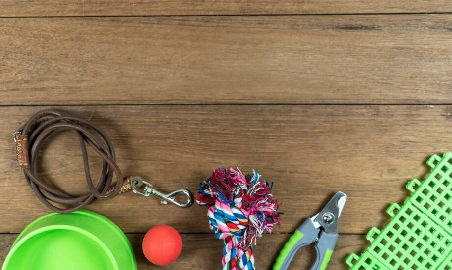 Smaczki dla kota jako element diety przyjaznej dla planety