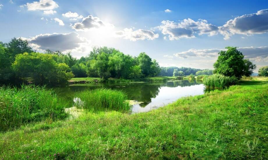 Ekonomiczne aspekty inwestycji w retencyjne zbiorniki na deszczówkę