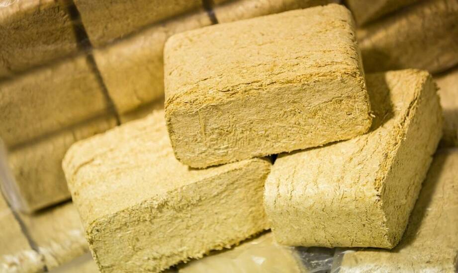 Ekologiczne aspekty wykorzystania brykietu z iglastych trocin