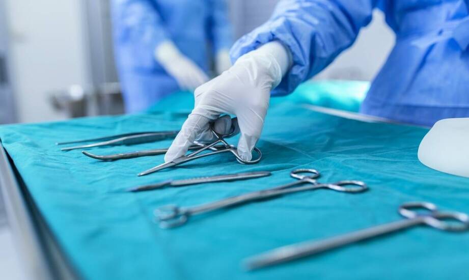 Różnorodność anatomicznych szczypczyków i ich zastosowanie w medycynie