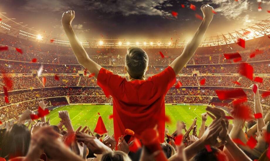 Ochronne sportowe siatki – jak wpływają na komfort kibiców?