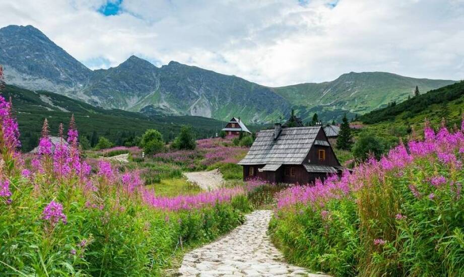 Noclegi w Zakopanem: Porównanie oferty z innymi miejscami.