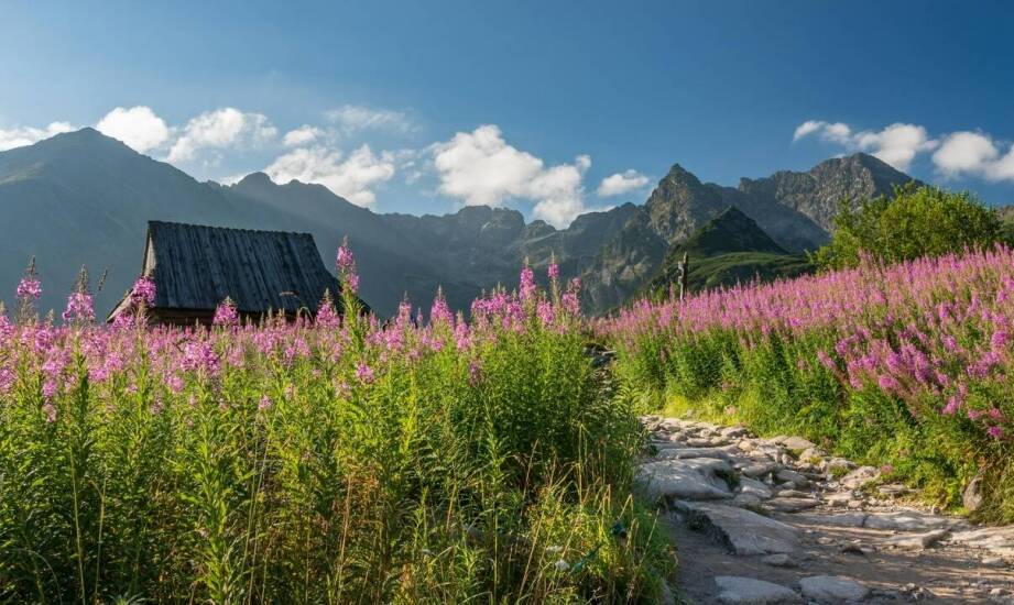 Letnie rozrywki w Tatrach - noclegi z bryczką do przejażdżek