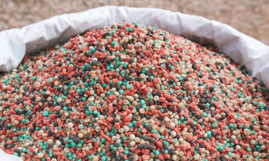 Jakie niezbędne minerały są w diecie gołębi sportowych?