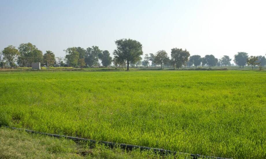 Indiańska wioska: unikalne kulturowe doświadczenie dla turystów