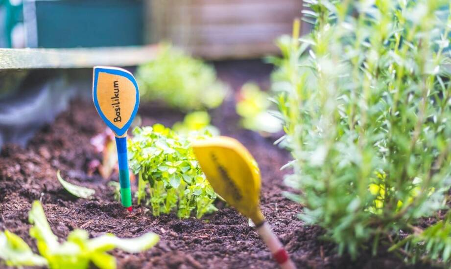 Przewodnik po wyborze czujników wilgotności i deszczu dla Twojego ogrodu