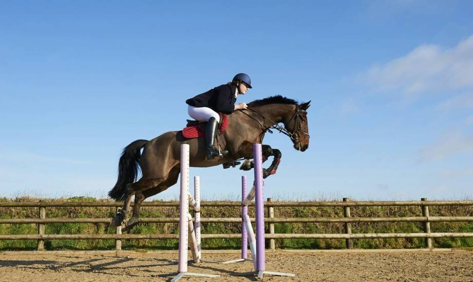 Jakie są najważniejsze cechy dobrego instruktora do jazdy konnej?