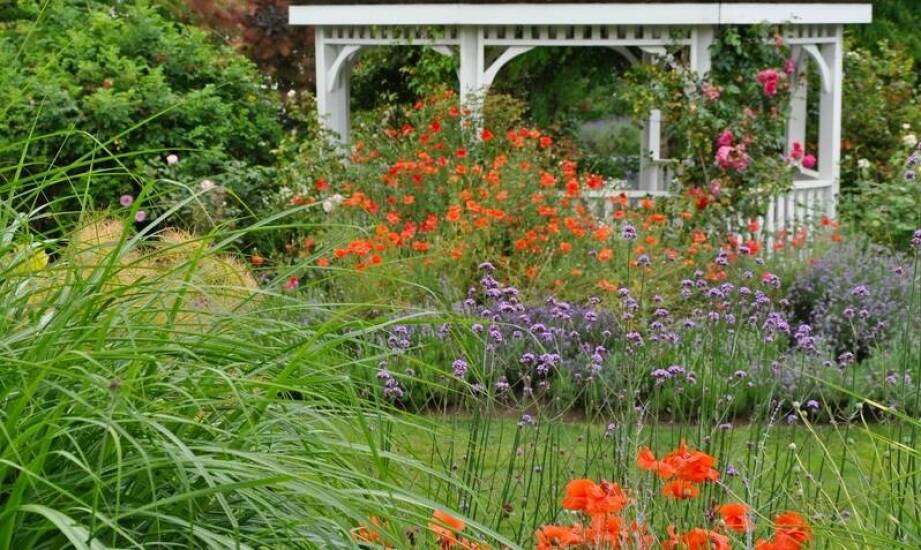 Praktyczne porady dotyczące zakupu altany 2x2 do małego ogrodu