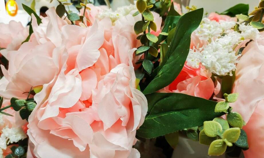 Wprowadzenie do hortensji vanille fraise na pniu: charakterystyka i zastosowanie