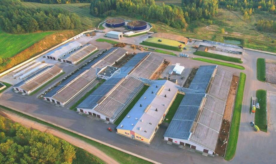 Jakie korzyści niosą ze sobą nowoczesne technologie w produkcji gołębników?