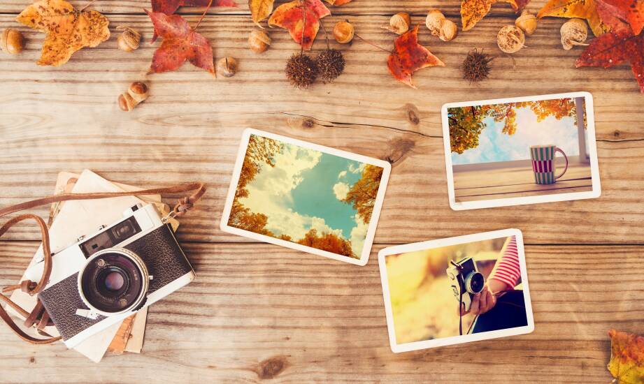 Album typu jamnik jako wyjątkowy sposób na przechowywanie wspomnień