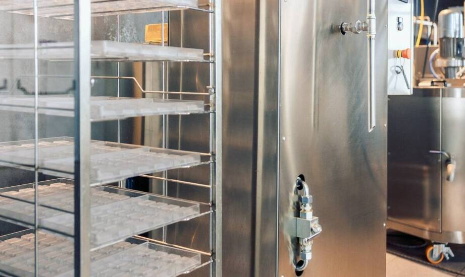 Liofilizacja jako metoda przedłużania trwałości świeżego groszku.