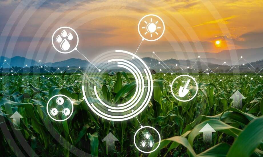Jak nowe technologie wspierają automatyzację procesów w rolnictwie