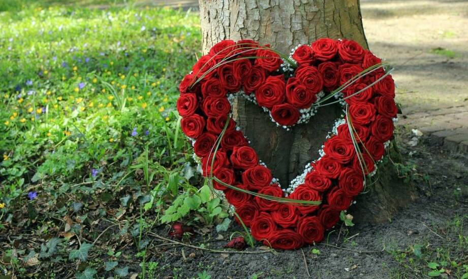 Jak dobrać odpowiednie gatunki kwiatów do wieńców na różne okazje?