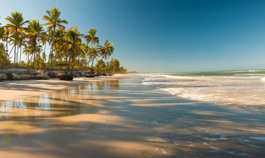 Dlaczego warto wybrać Dominikanę jako cel podróży dla pasjonatów kitesurfingu?