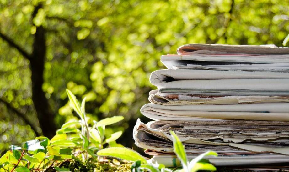 Ekologiczne aspekty wyboru kartonu FSC do produkcji toreb reklamowych