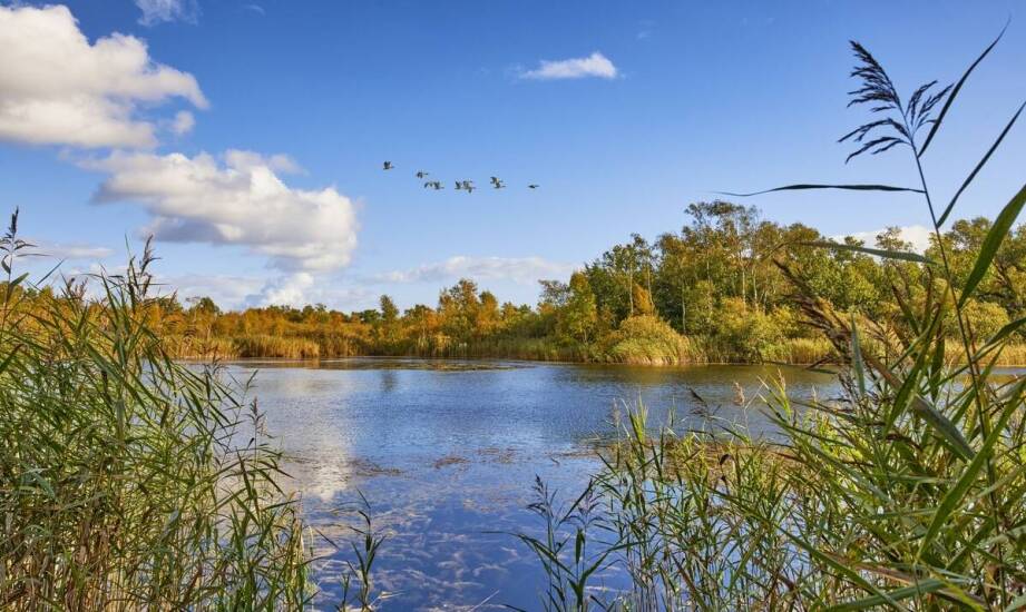 W jaki sposób raporty dotyczące oddziaływania na środowisko chronią wodne ekosystemy?