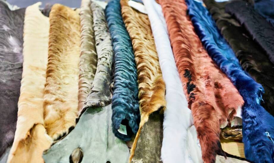 Jak lombardy dostosowują swoje oferty do zmieniających się trendów na rynku?