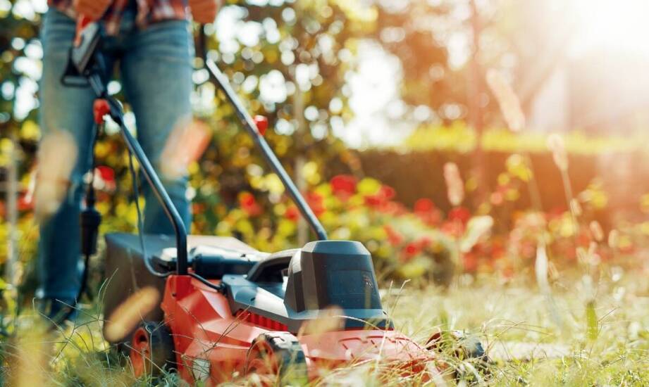 Jak ogrodowe rozdrabniacze mogą pomóc w redukcji zielonych odpadów w Twoim ogrodzie?