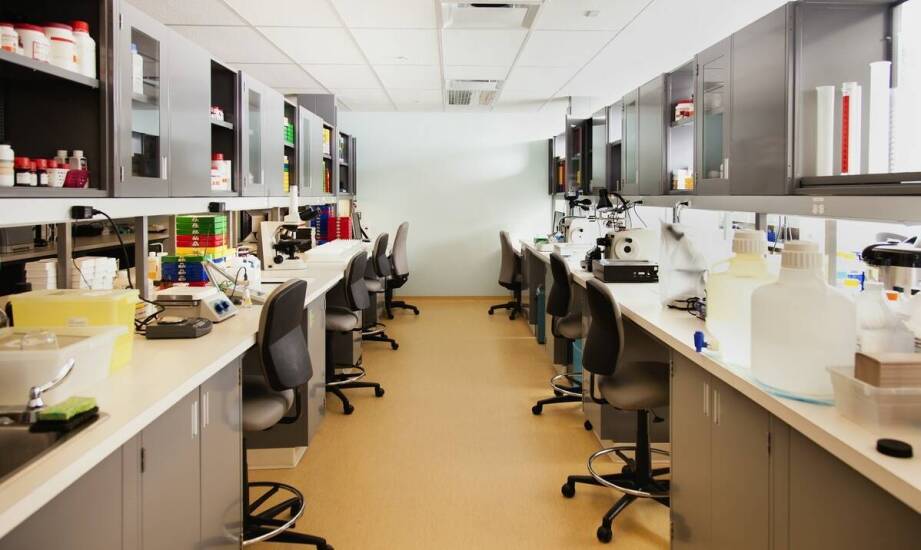 Laboratorium w Żorach: Systematyczne szkolenia dla pracowników jako gwarancja jakości