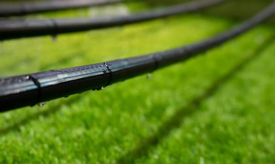 Innowacyjne rozwiązania w systemach nawadniania dla ogrodów we Wrocławiu