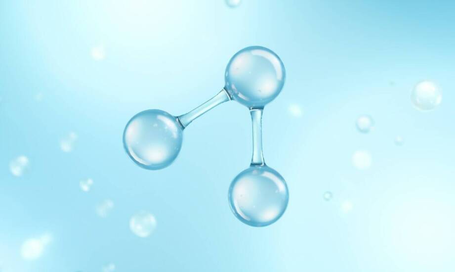 Rola aminokwasów w procesach anabolicznych i katabolicznych