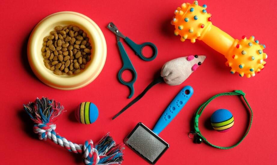 Wybór najlepszych miękkich przysmaków dla seniorów psów