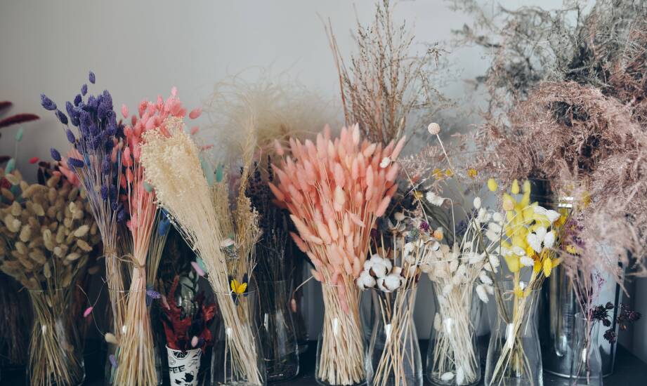 Suszony zatrwian – jak wprowadzić go do klasycznych aranżacji wnętrz?