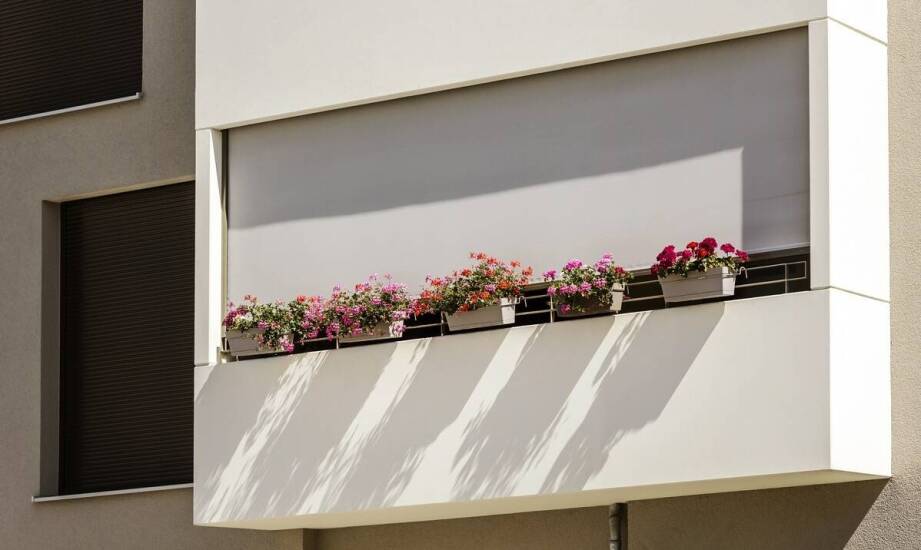 Jak dbać o białe 70-centymetrowe skrzynki balkonowe, by zachowały piękny wygląd?