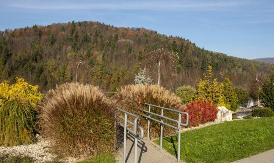 Jak dom spokojnej starości w województwie dolnośląskim promuje aktywność fizyczną wśród mieszkańców?