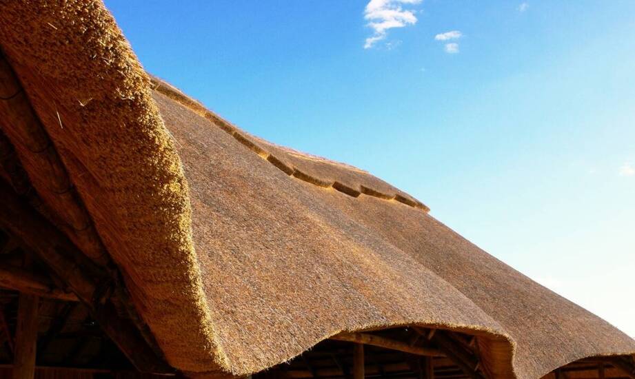 Proces konserwacji dachów z trzciny – praktyczne wskazówki dla właścicieli