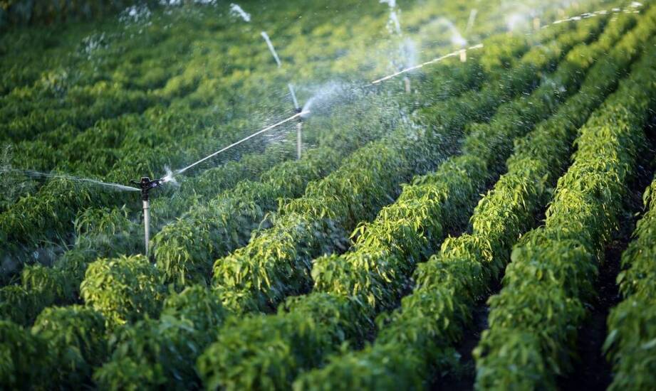 Automatyczne systemy nawadniające a ekologia: jak chronią wodne zasoby?